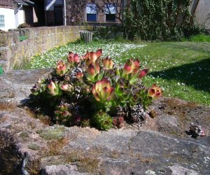 Bilder aus der Ortschaft